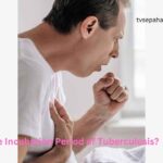 What Is the Incubation Period of Tuberculosis?